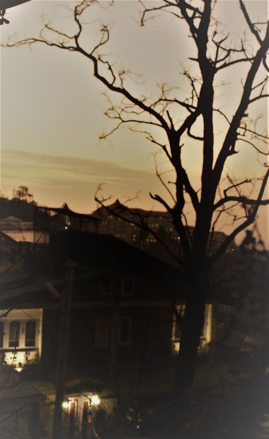 Prakash Cottage Σίμλα Εξωτερικό φωτογραφία